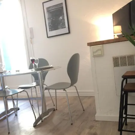 Un Chat Au Soleil *