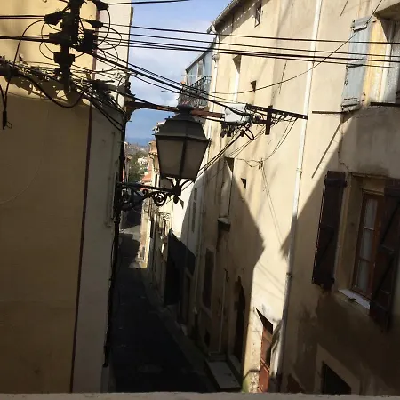 Un Chat Au Soleil
